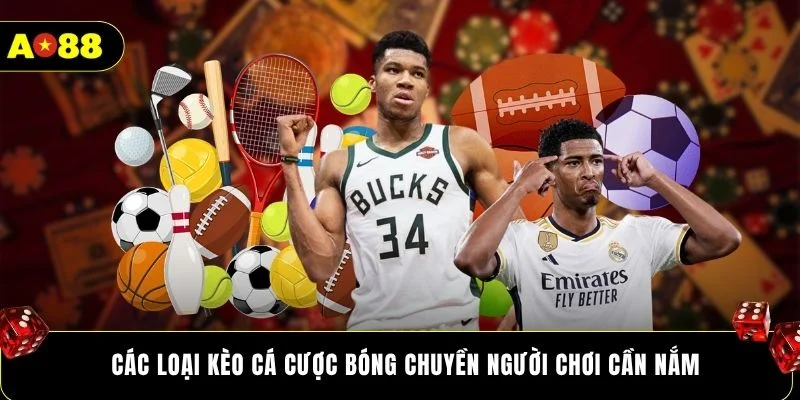 Các loại kèo cá cược bóng chuyền người chơi cần nắm